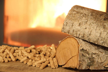 Kiln-dried beech firewood | 2 m³