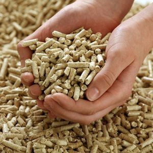 Pellets lose eingeblasen – ENplus® A1