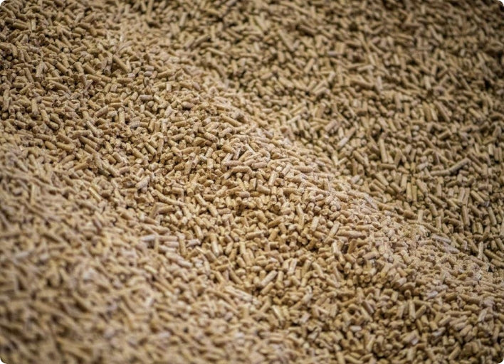 Pellets lose eingeblasen – ENplus® A1