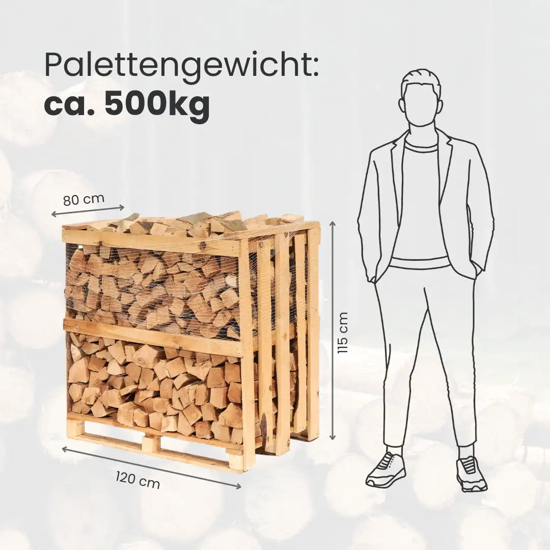 Firewood Birch kiln-dried | 1 RM