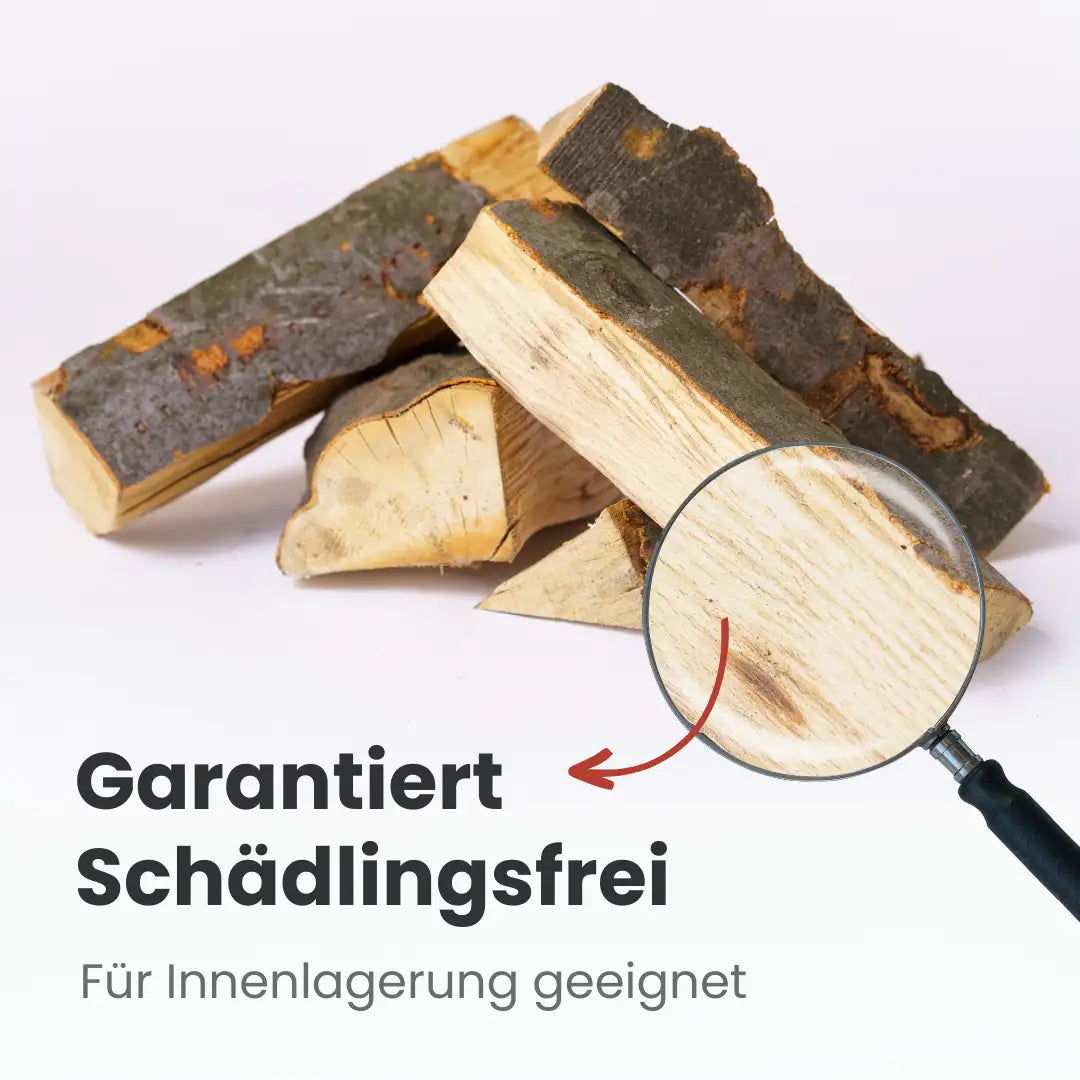 Kiln-dried beech firewood | 2 m³