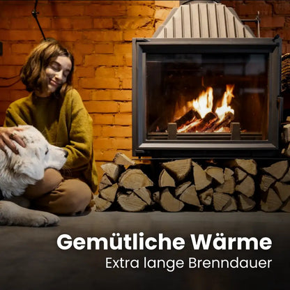 Firewood Birch kiln-dried | 1 RM